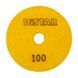 Круги алмазные полировальные Круг 100x3x15 CleanPad #100